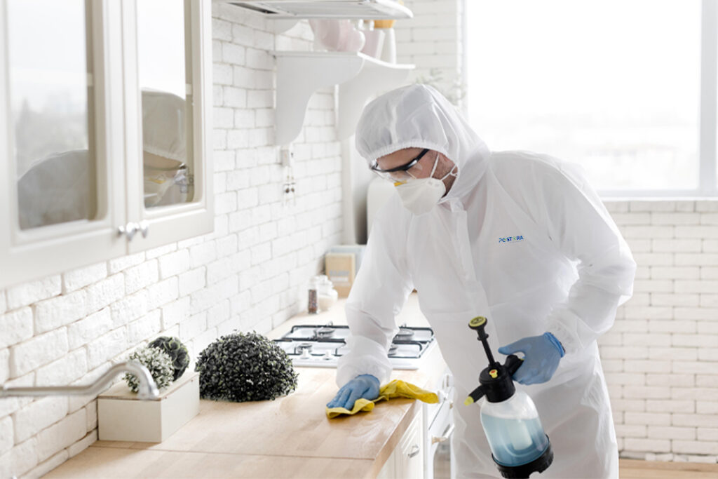 515441701 122105602784925712 8392088026526168036 n copy