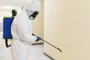 medium shot man disinfecting scaled.jpg